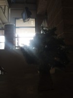 /album/photogallery/contrast-jpg/