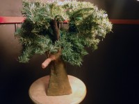 /album/photogallery/form-jpg/