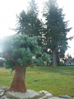 /album/photogallery/space-jpg/