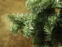 /album/photogallery/texture-jpg/