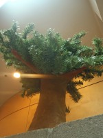 /album/photogallery/wormseyeview-jpg/